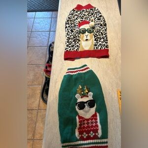 Cat/small dog sweater